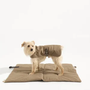 Chaleco Nube Tostado