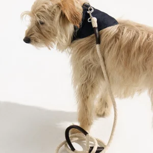 Set Río denim (Collar- Correa - Pañuelo)