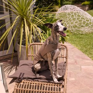 Chaleco Nube Tostado