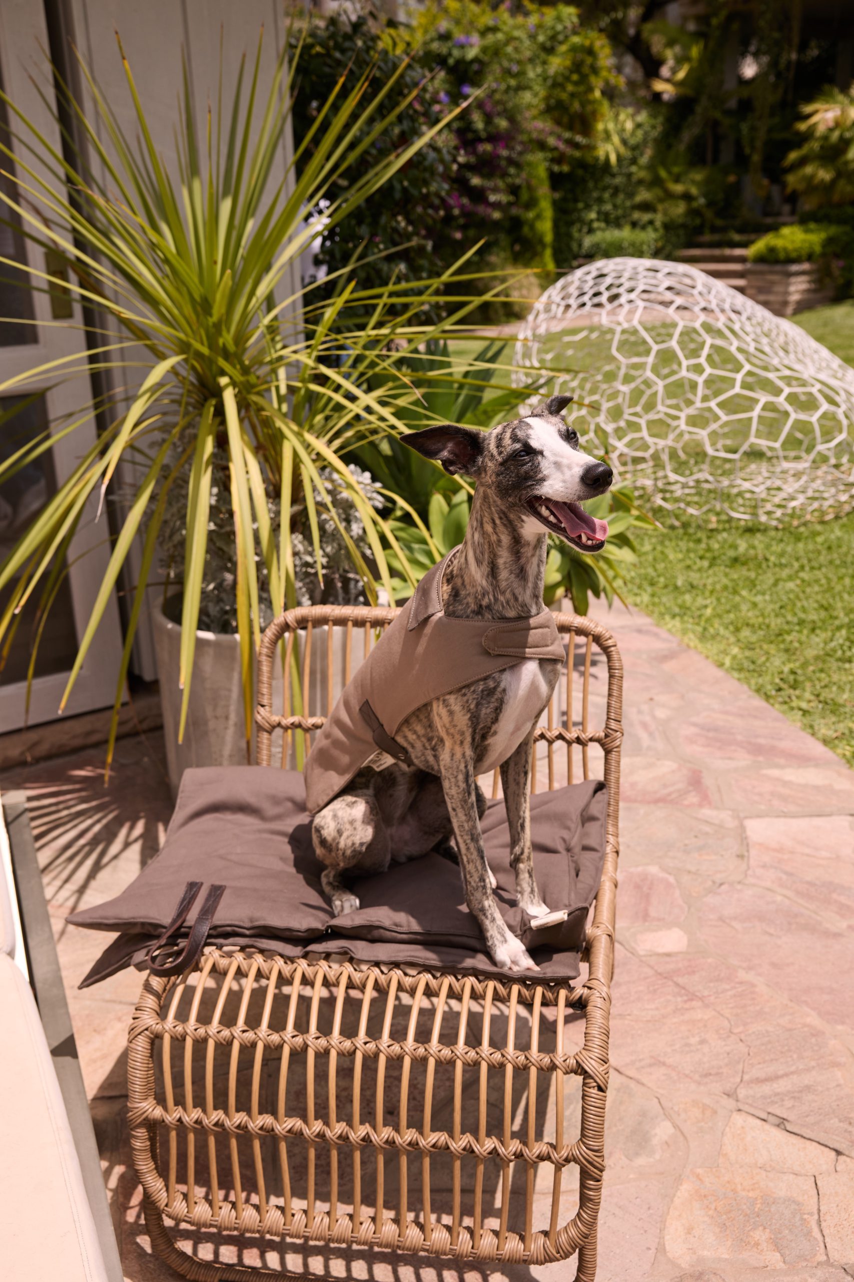 Chaleco Nube Tostado